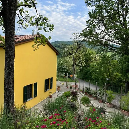 Luci Nel Bosco Montalto (Reggio Emilia)