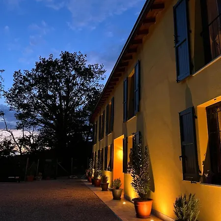 Luci Nel Bosco Montalto (Reggio Emilia)