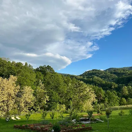 Luci Nel Bosco * Montalto (Reggio Emilia)