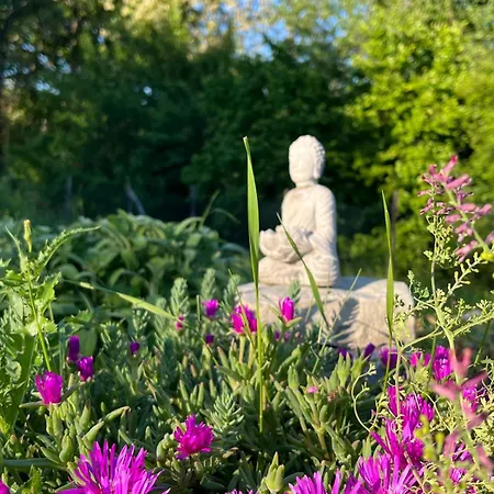 Luci Nel Bosco 住宿加早餐酒店 *