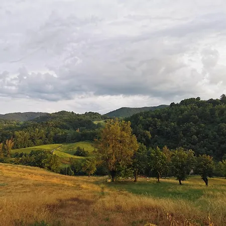 住宿加早餐酒店 Luci Nel Bosco Montalto (Reggio Emilia)