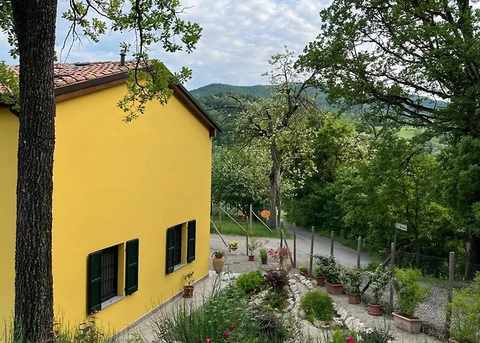 Luci Nel Bosco Montalto (Reggio Emilia)