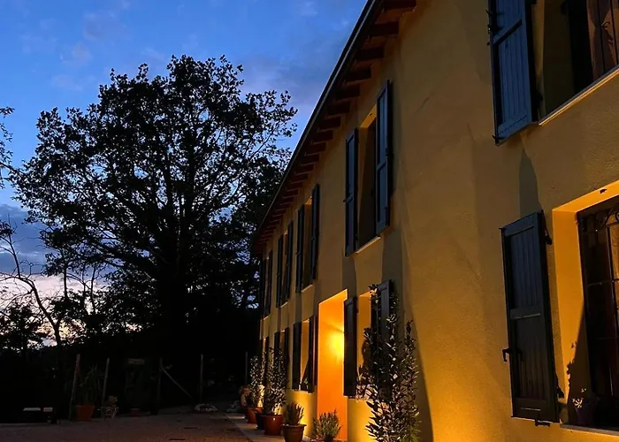 Luci Nel Bosco Montalto (Reggio Emilia)