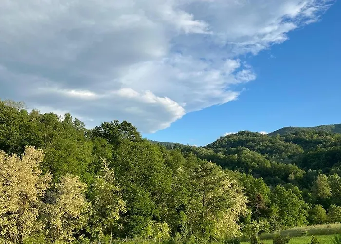 Luci Nel Bosco * Montalto (Reggio Emilia)