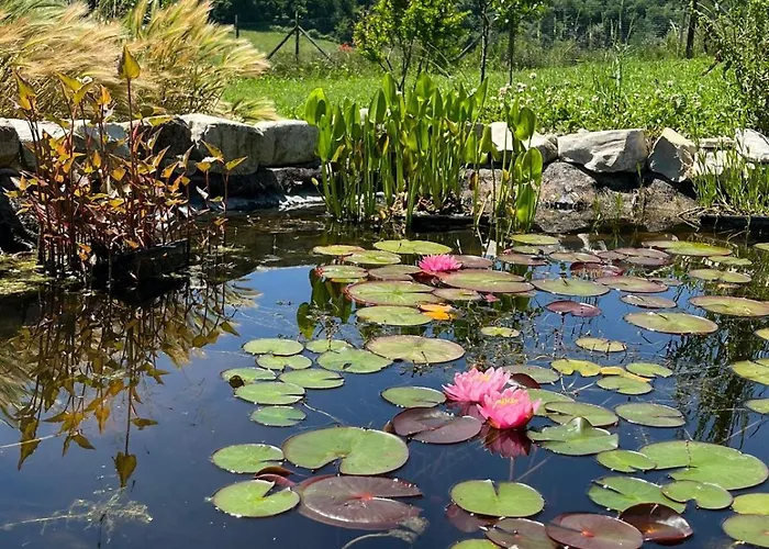 Luci Nel Bosco לינה וארוחת בוקר