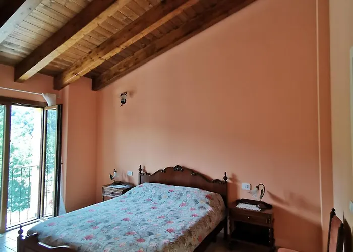 Luci Nel Bosco * Montalto (Reggio Emilia)