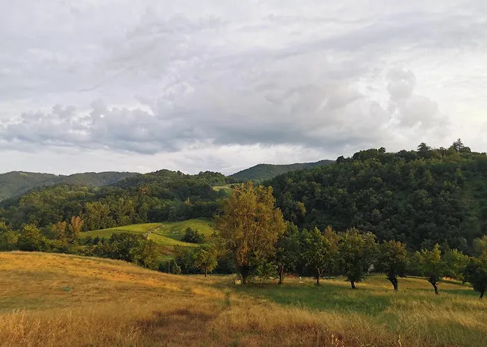 לינה וארוחת בוקר Luci Nel Bosco Montalto (Reggio Emilia)